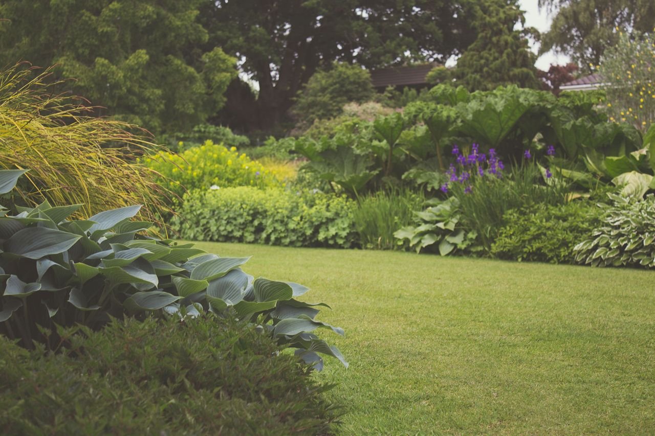 Low-Maintenance Gardens in Macclesfield: Design & Installation | Macclesfield Gardener